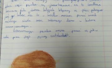 Pączkowy zawrót głowy na języku polskim